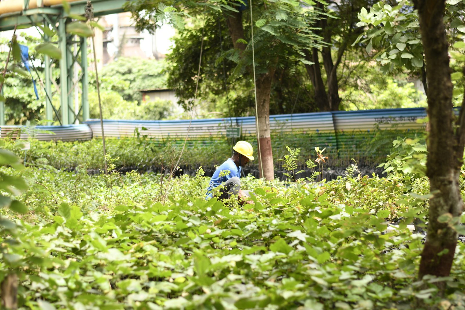 Worker amidst greenery