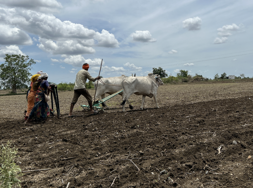 Sustainable Climate Resilient Agriculture