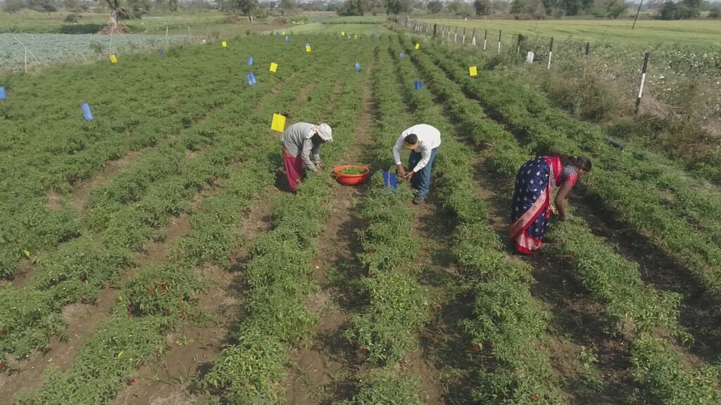 Rural Livelihood Program